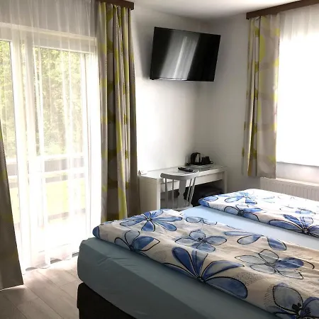 Guest house Waldesruh 4*