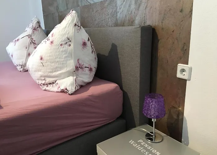 Waldesruh Guest house 4*